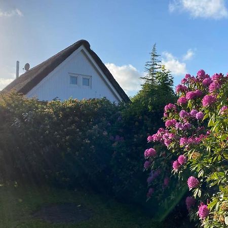 Ferienhaus Butterblume Sudbrookmerland Ngoại thất bức ảnh