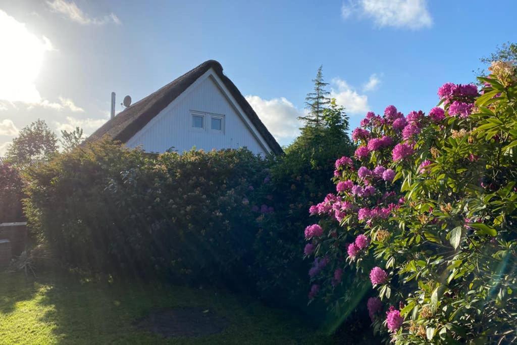 Ferienhaus Butterblume Sudbrookmerland Ngoại thất bức ảnh